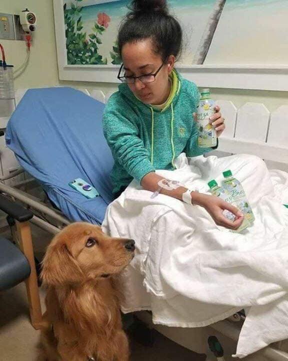 Makes Me Cry To See All Of The Dog Pics Heartbreaking 2 Makes Me Cry To See All Of The Dog Pics Heartbreaking
