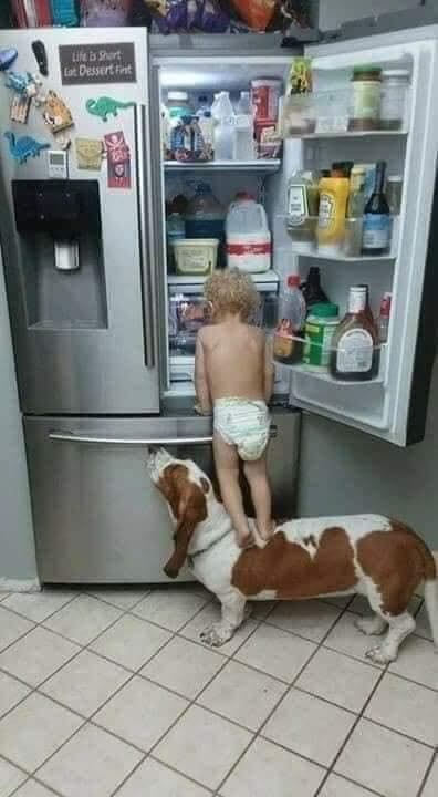 Makes Me Cry To See All Of The Dog Pics Heartbreaking 8 Makes Me Cry To See All Of The Dog Pics Heartbreaking