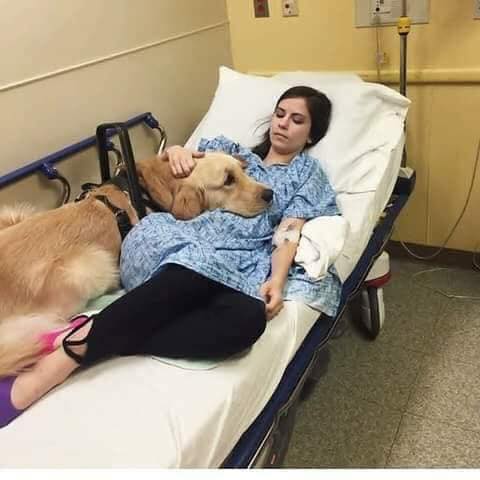 Makes Me Cry To See All Of The Dog Pics Heartbreaking 4 Makes Me Cry To See All Of The Dog Pics Heartbreaking