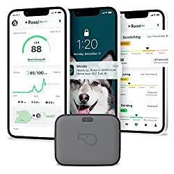 Finding Fido: The Best Pet Trackers to Keep Your Fur Baby Safe 1 Finding Fido: The Best Pet Trackers to Keep Your Fur Baby Safe