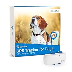 Finding Fido: The Best Pet Trackers to Keep Your Fur Baby Safe 9 Finding Fido: The Best Pet Trackers to Keep Your Fur Baby Safe