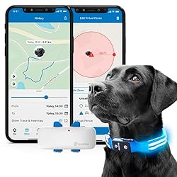 Finding Fido: The Best Pet Trackers to Keep Your Fur Baby Safe 5 Finding Fido: The Best Pet Trackers to Keep Your Fur Baby Safe